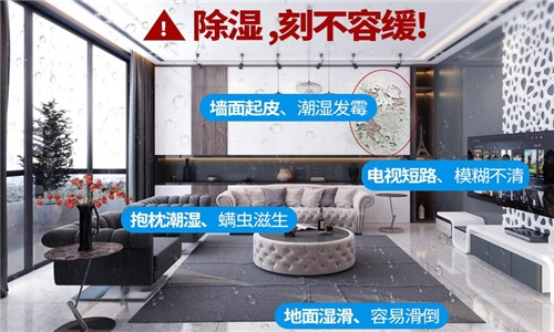 未來(lái)的除濕機(jī)將帶來(lái)更舒適的生活體驗(yàn) 未來(lái)的除濕機(jī)將帶來(lái)更舒適的生活體驗(yàn)