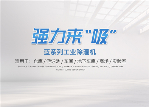 使用空氣除濕機來解決地下室潮濕問題 使用空氣除濕機來解決地下室潮濕問題
