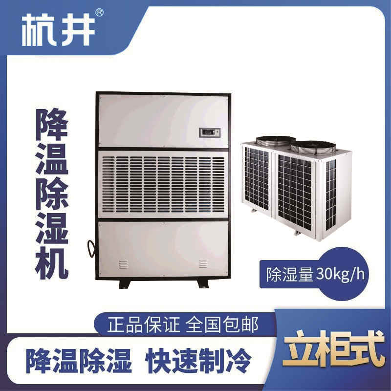 CFJZF30S風冷調(diào)溫除濕空調(diào)機組