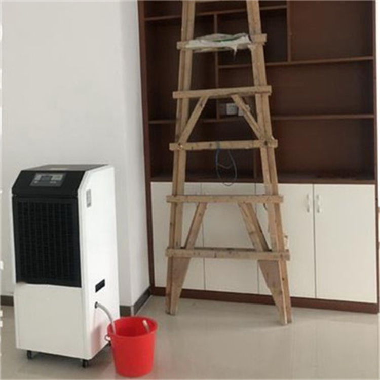 專業(yè)陰涼庫除濕機(jī)，藥品庫高效防潮解決方案